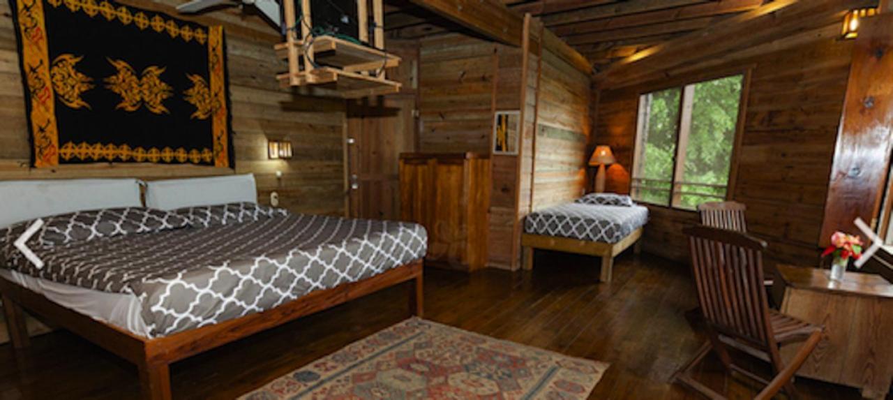 Roatan Bed & Breakfast Apartments West End Extérieur photo