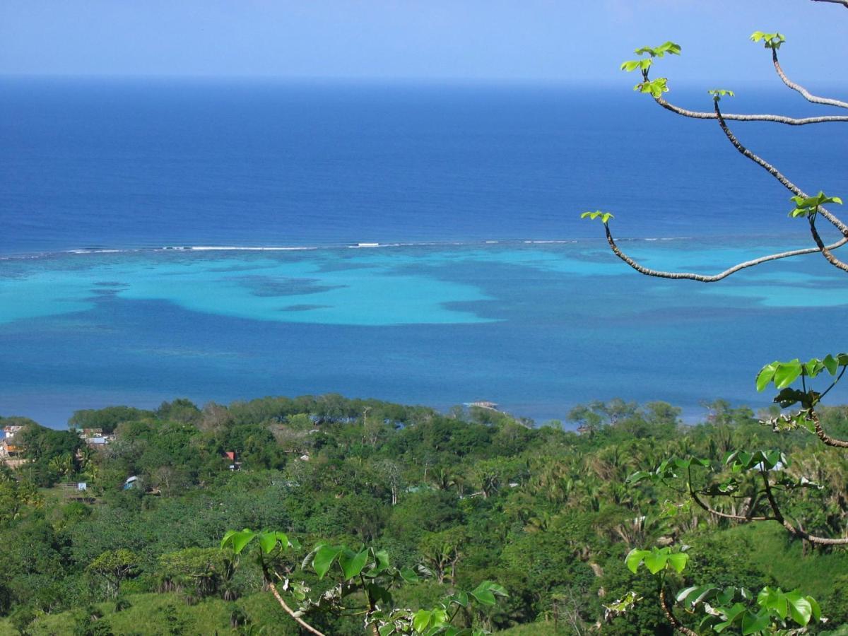 Roatan Bed & Breakfast Apartments West End Extérieur photo