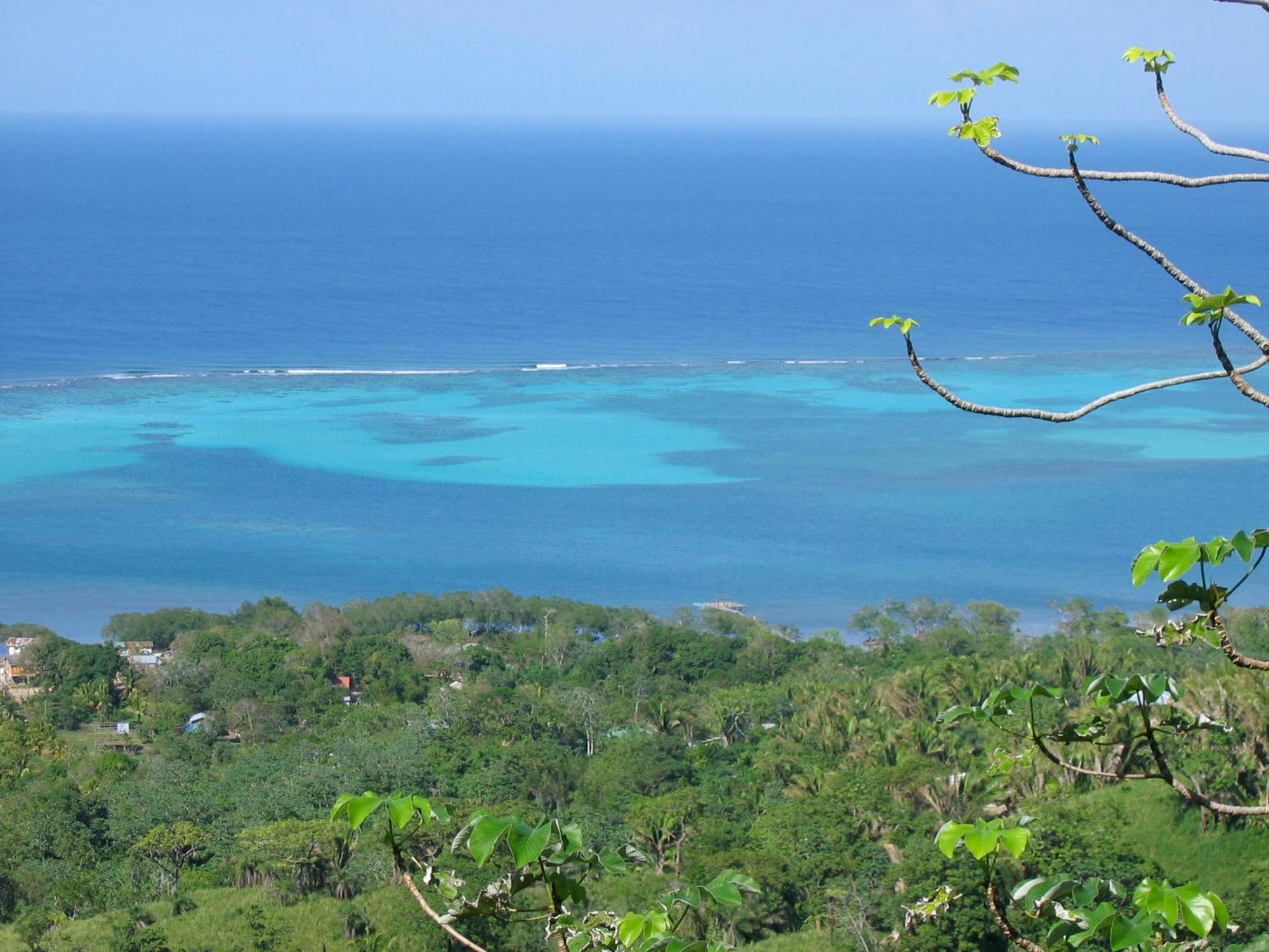 Roatan Bed & Breakfast Apartments West End Extérieur photo