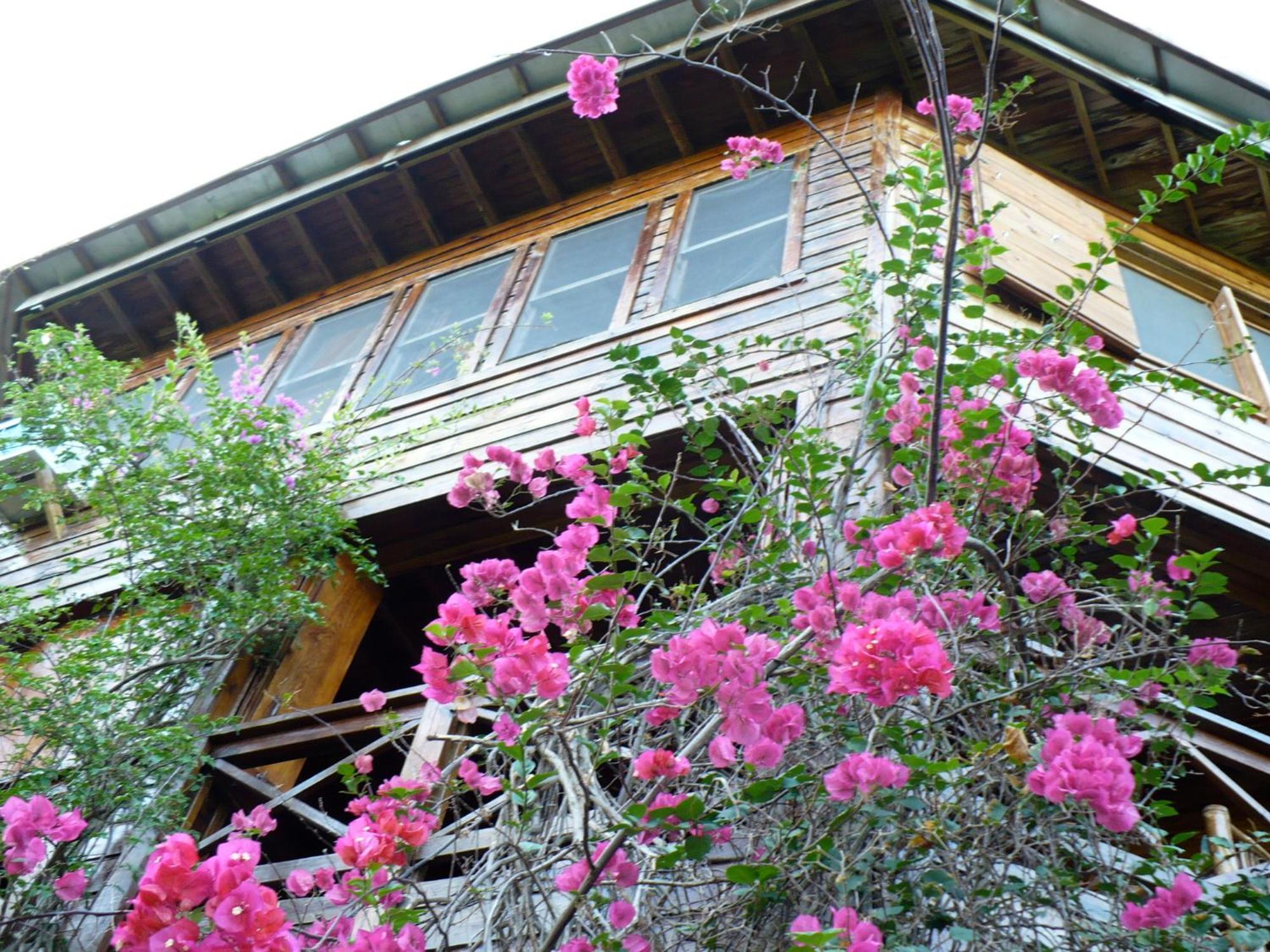 Roatan Bed & Breakfast Apartments West End Extérieur photo