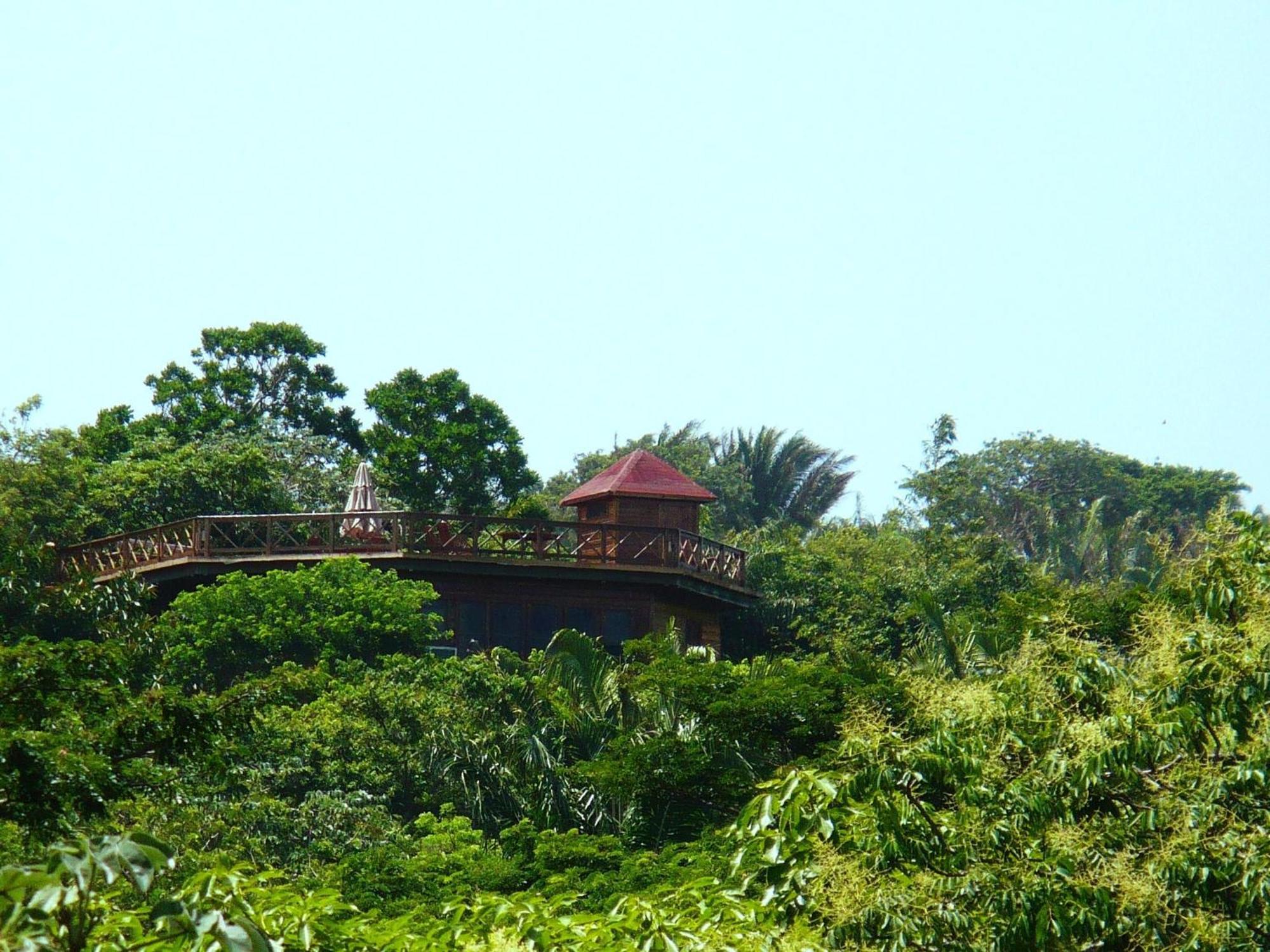 Roatan Bed & Breakfast Apartments West End Extérieur photo