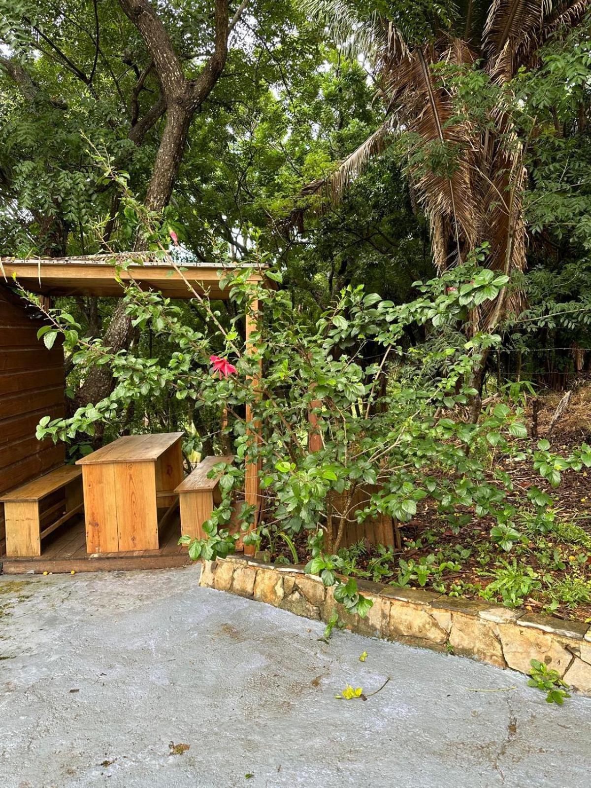 Roatan Bed & Breakfast Apartments West End Extérieur photo