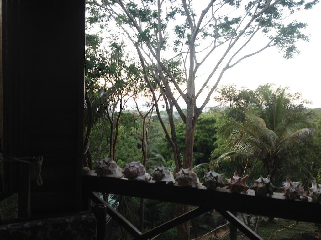Roatan Bed & Breakfast Apartments West End Extérieur photo